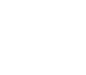 Shikhar IMF
